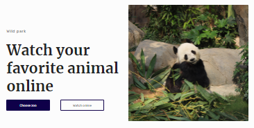 online zoo site